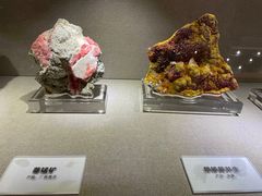 -陕西自然博物馆