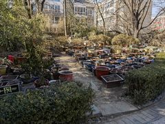 -白家大院·王府宫廷菜(苏州街店)