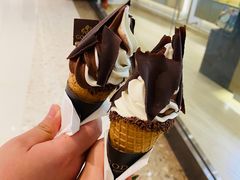 双拼冰淇淋-GODIVA(万象城店)