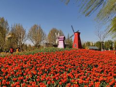 -廊坊文化艺术中心