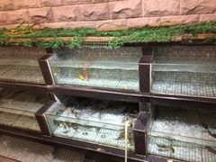 -巴陵全鱼席(湖南老字号汴河街店 )