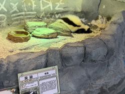-Zoolung Zoolung动物主题公园(海信广场店)