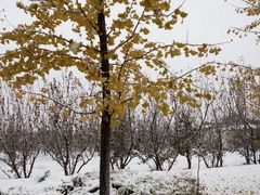 -意大利农场度假村