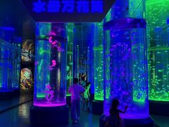 -海合安成都极地海洋公园