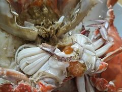 -启东小海鲜(庄先湾路1号店)