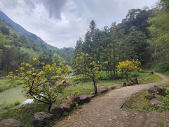 -千泷沟大瀑布旅游区