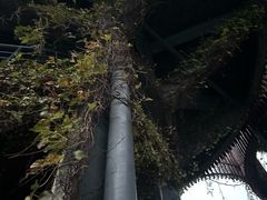 -芒洲湿地公园