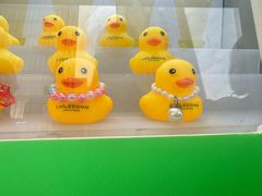 -LINLEE林里·手打柠檬茶(锦江太古里店)