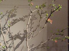 -会仙楼(金融街店)