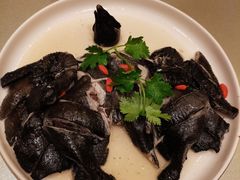 药膳鸡-沙龙酒家
