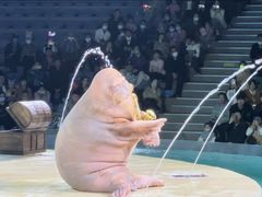 -哈尔滨波塞冬海底世界