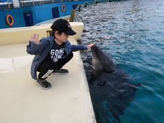 -秦皇岛乐岛海洋王国