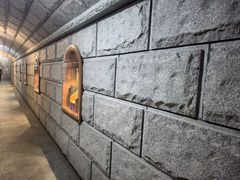 -紫轩葡萄酒庄园