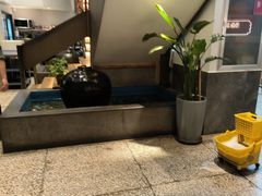-滇铺子·云南特色菜·第九届野生菌美食节(东风东路c86店)