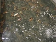 -阔澜蒸汽海鲜自助