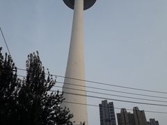 景点-辽宁电视塔