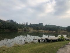 -福建鲤鱼洲酒店