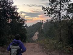 -青龙山国家森林公园