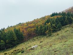 -灵山