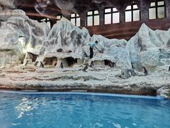 -帝企鹅自助餐厅•儿童岛•真企鹅(长隆企鹅酒店)