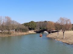 -南湖湿地公园