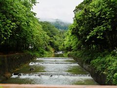 -广州白江湖森林公园