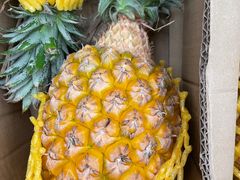 -西郊国际农产品交易中心