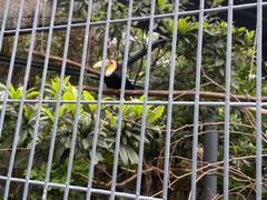 -苏州上方山国家森林公园