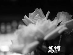-The Bottle Bar(羲和商业广场店)