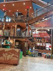 -卡通尼·Safari非洲探索乐园·生日会(金桥国际商业广场店)