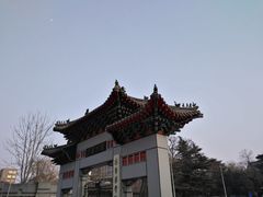 -山东大学(洪家楼校区)