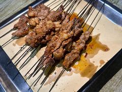 烤肥瘦-老白家怡贵园烤肉
