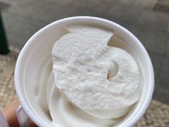 椰子雪糕-洪馨椰子