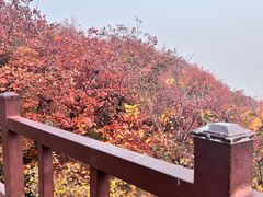 -周口店坡峰岭风景区