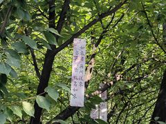 -西安大兴善寺