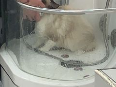 -comecome来吧宠物(奥克斯中心店)