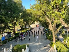 -桂林市榕杉湖景区