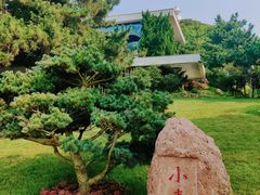 -青岛海滨风景区小青岛