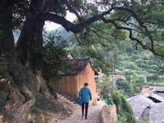 -杨家堂村