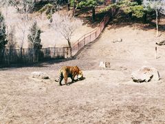 -沈阳森林动物园