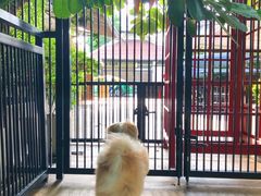 -TrueLove @ Neverland (Husky Cafe)