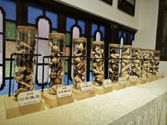 -陈李济中药博物馆