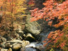 -丹东天桥沟景区