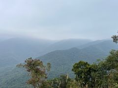 -海南霸王岭国家森林公园