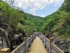 -广州白江湖森林公园