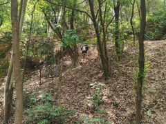 -火炉山森林公园