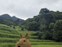-石台牯牛降景区
