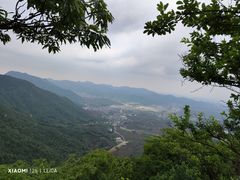 -龙坞茶村