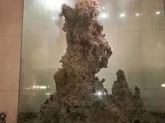 万寿山-人民大会堂