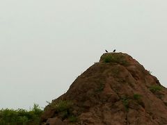 -鄱阳湖国家湿地公园